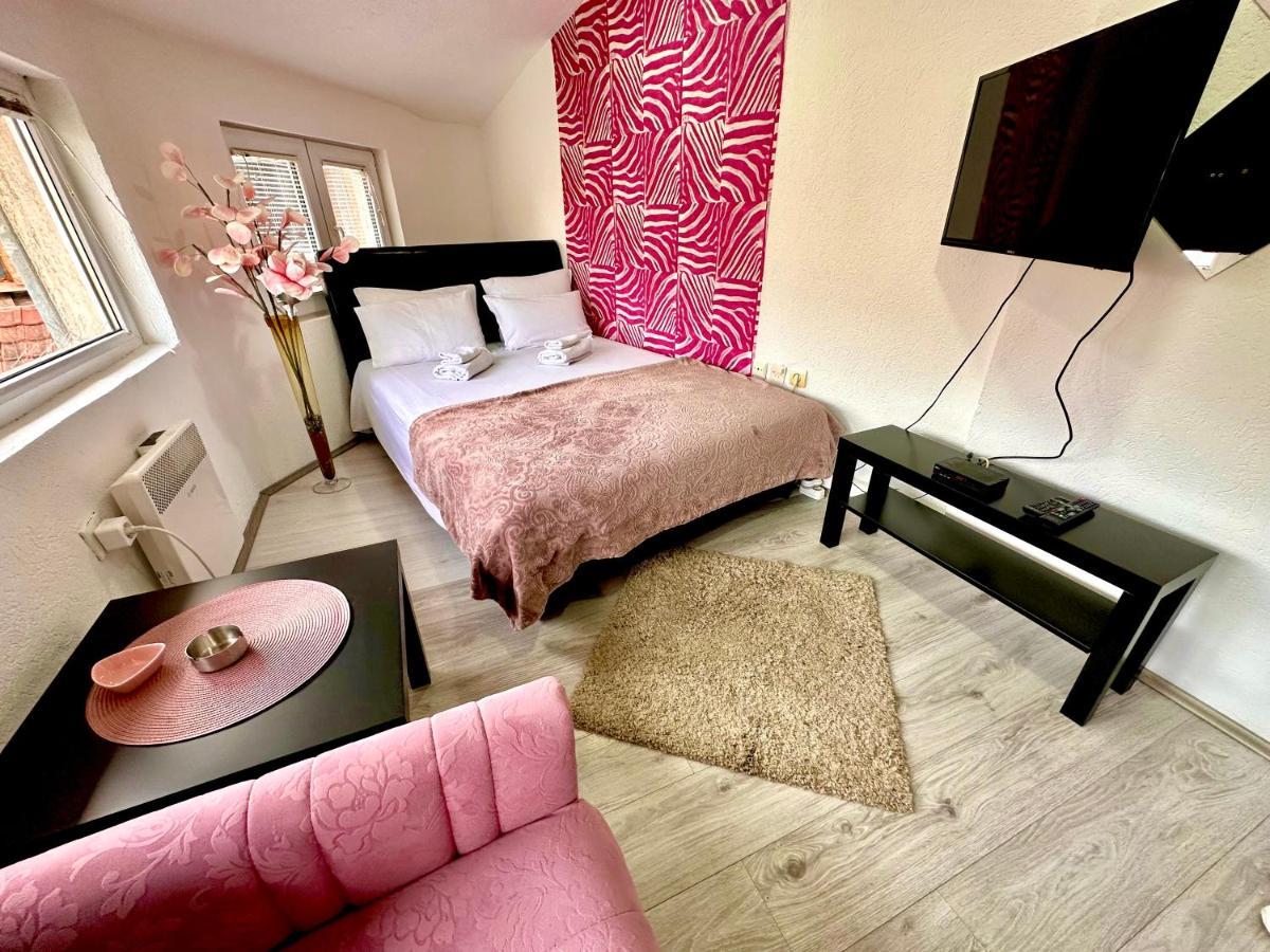 Apartmani Aleksandra U Centru Grada Kragujevac Buitenkant foto
