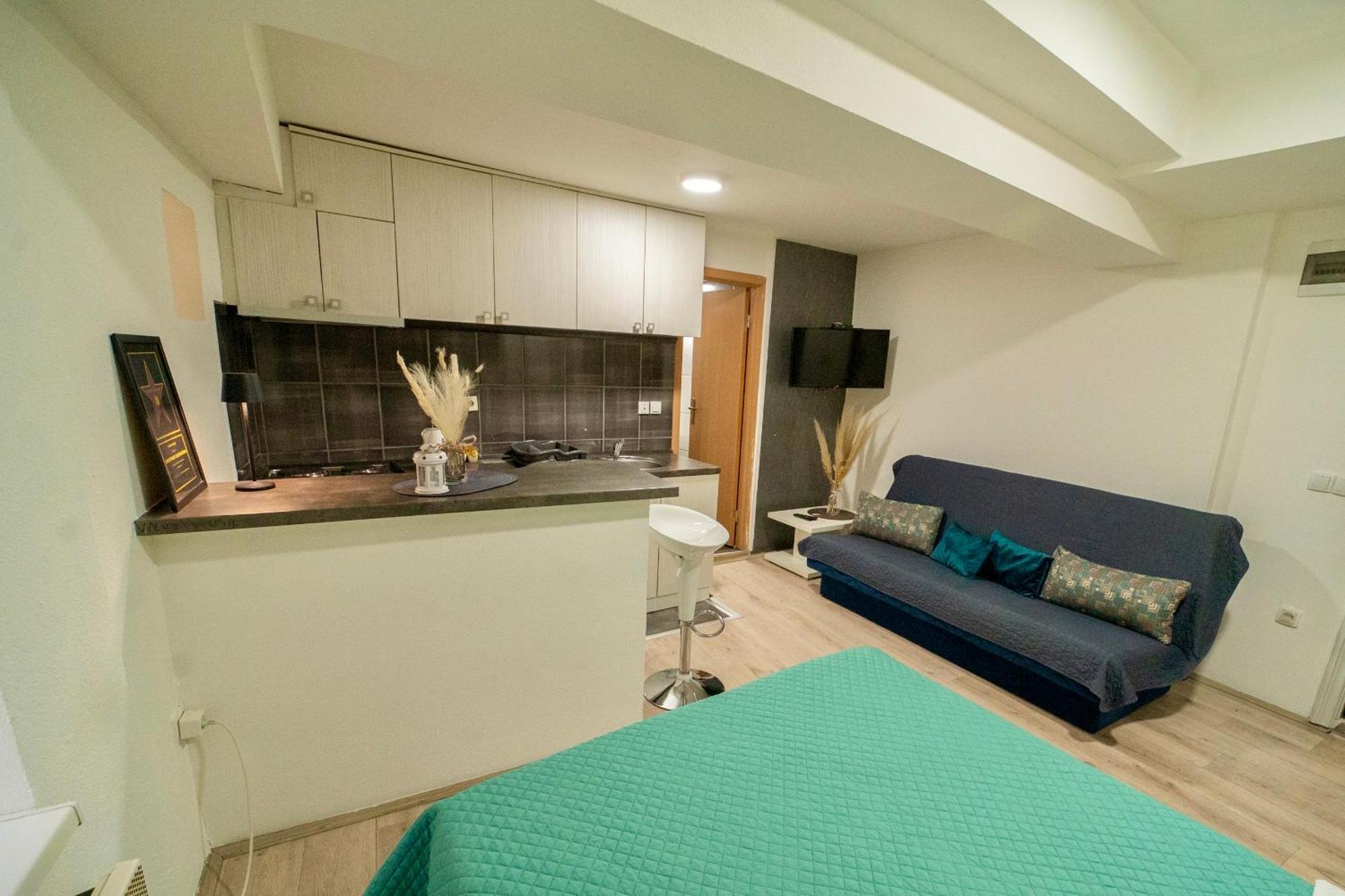 Apartmani Aleksandra U Centru Grada Kragujevac Buitenkant foto