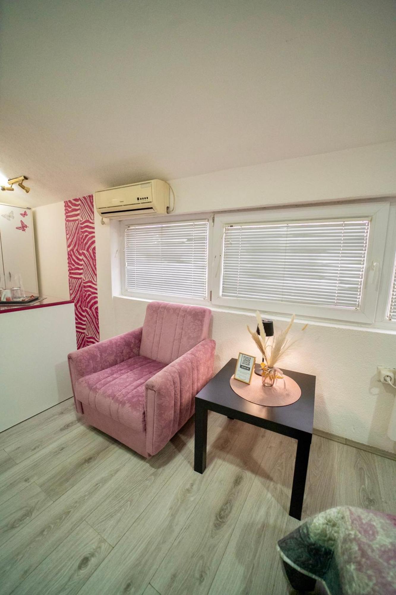 Apartmani Aleksandra U Centru Grada Kragujevac Buitenkant foto